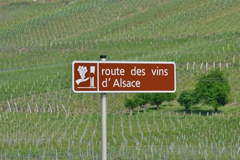 Route des Vins dAlsace 1